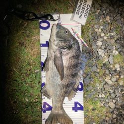 ナイトチニング