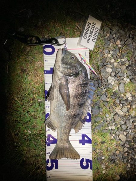 ナイトチニング