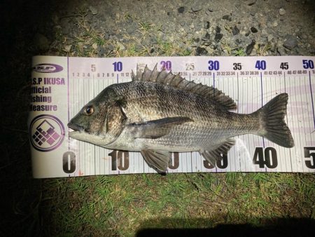 ルアーチヌフィッシング