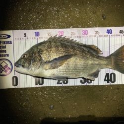 ナイトチニング