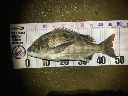 ナイトチニング