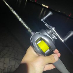 淀川ブリームゲーム