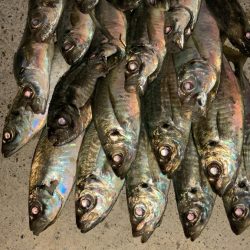 雨上がりの隙に