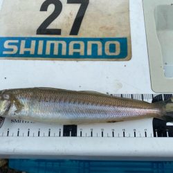 シロギスタ:ぶらり途中下浜の旅