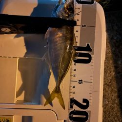 神戸空港4週連続