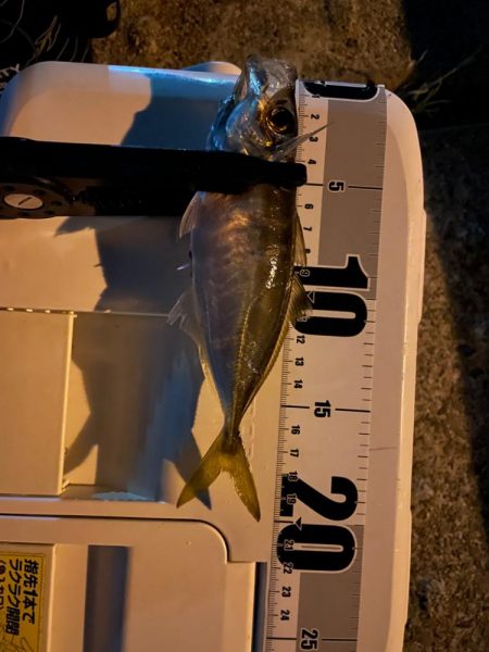 神戸空港4週連続