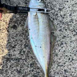 悪い日もあるよね( ´∀｀)