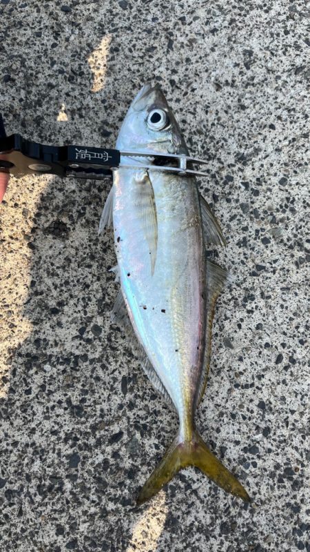 悪い日もあるよね( ´∀｀)