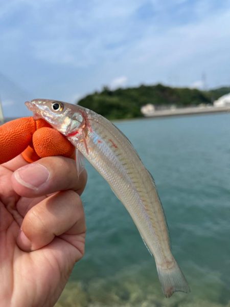 キスちょい投げ