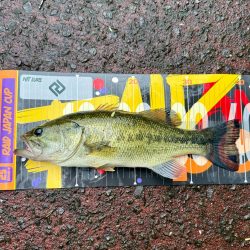 バックウォーター