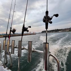 シロイカ釣り初チャレンジ！爆風の中墨付け完了