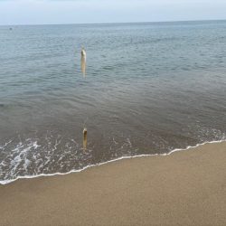 砂丘海岸でキス釣り｜群れが小さく続きません！