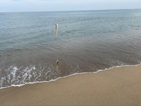 砂丘海岸でキス釣り｜群れが小さく続きません！