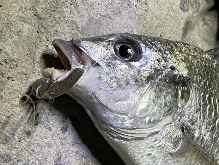 南港　小物調査