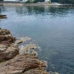 ご近所エギング