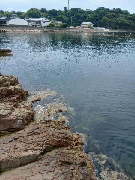 ご近所エギング