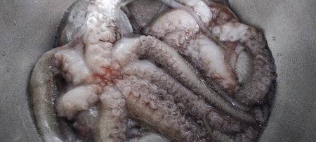 おかっぱりタコ調査