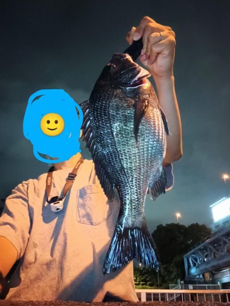 夜チヌ、シーバス