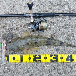 エソじゃなかった♪