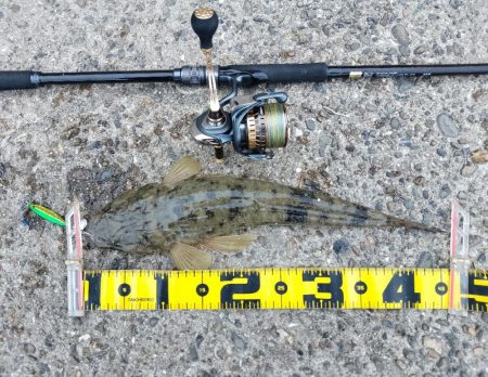 エソじゃなかった♪