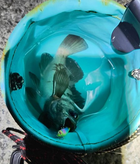 根掛かりを外すと…！