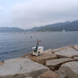 室津のキス釣り