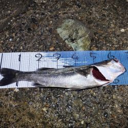 下げの｢分｣今まで逆。この日を境に。