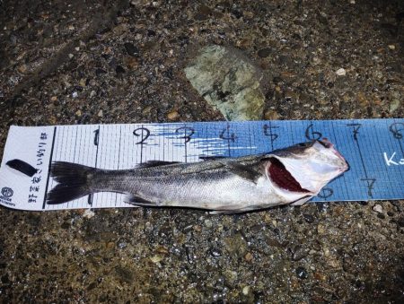 下げの｢分｣今まで逆。この日を境に。