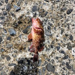 自己記録更新!!