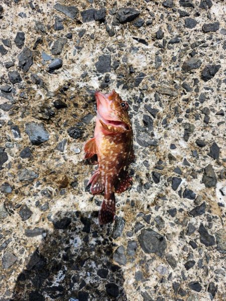 自己記録更新!!