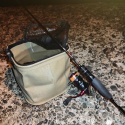 シーバス釣れないのでアジング