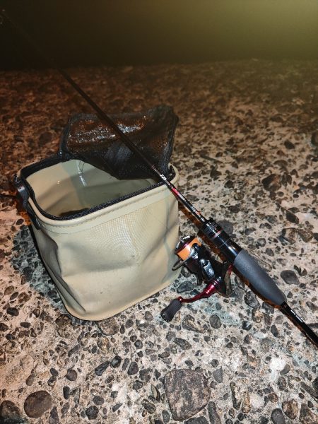 シーバス釣れないのでアジング