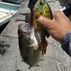 初めての沖ノ島