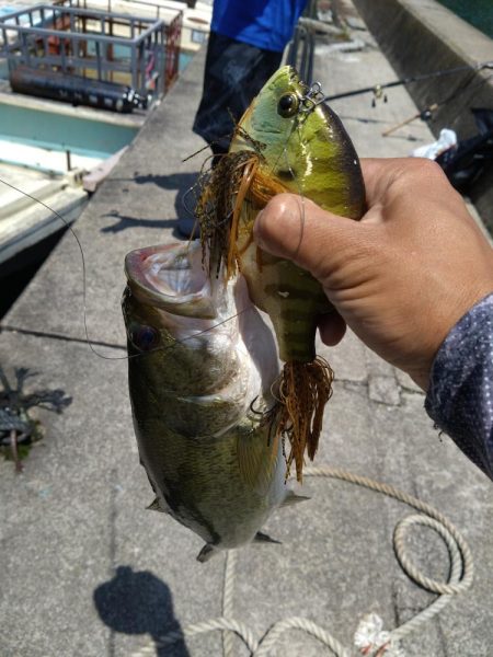 初めての沖ノ島