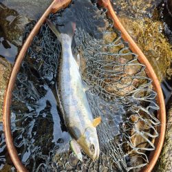 海から川へ走ります