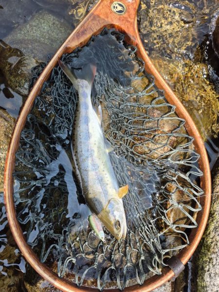 海から川へ走ります