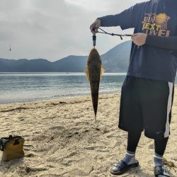 キス釣りから泳がせ