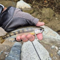 朝から入ってみた