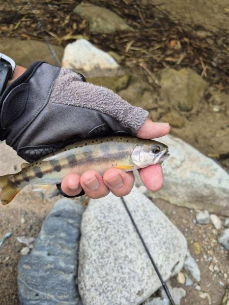 朝から入ってみた