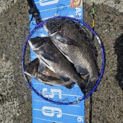 初ポイントにてふかせ釣り