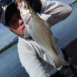 チヌとヒラセイゴが釣れました!