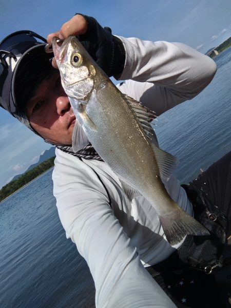 チヌとヒラセイゴが釣れました!