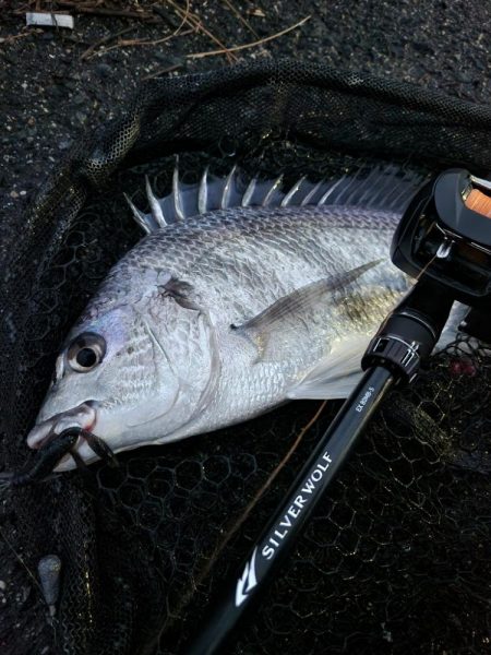 フラグ&ボトムチニング