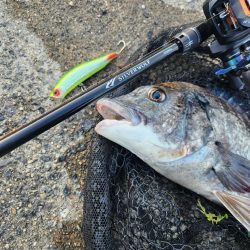 クロスウェイクチニング