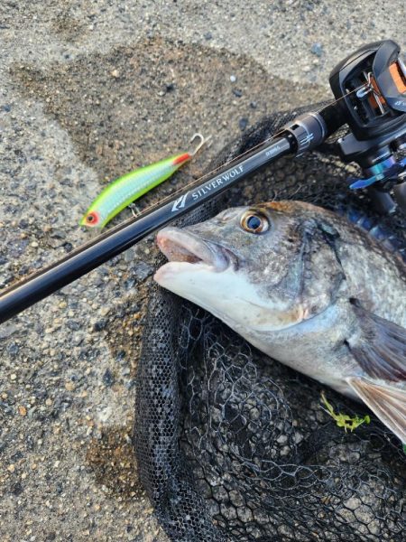 クロスウェイクチニング