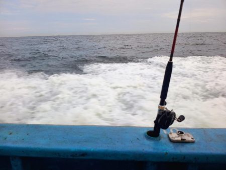 今年初の船釣りは沢山釣れた