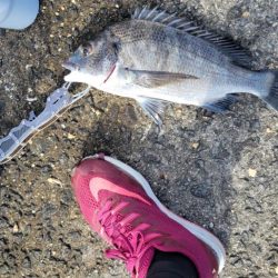 ホームでフカセ