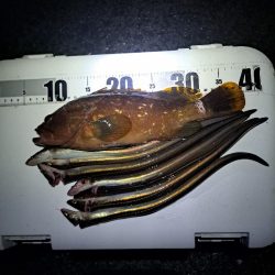 癖になる鈴の音