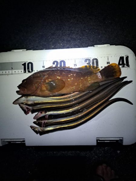 癖になる鈴の音