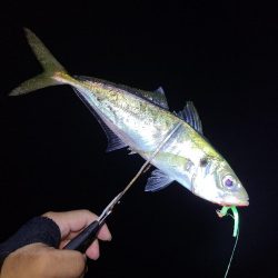 遠距離サーフアジング。